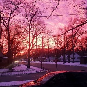 Meet your Posher, Ella